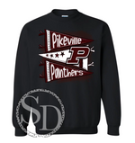 Load image into Gallery viewer, Panthers Pennant shirt
